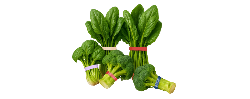 Brocolis frais et légumes-feuilles emballés avec des élastiques pour produits alimentaires